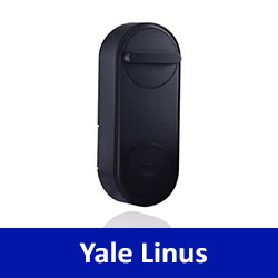 Yale Linus